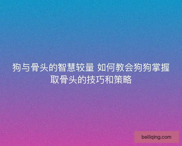 狗与骨头的智慧较量 如何教会狗狗掌握取骨头的技巧和策略